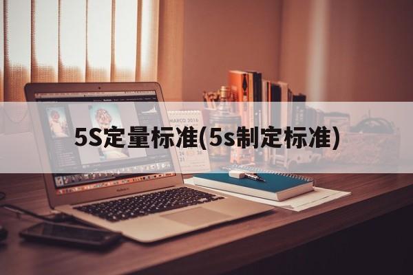 5S定量标准(5s制定标准)